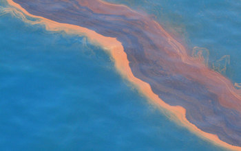At the time of the Deepwater Horizon disaster, oil was streaked across parts of the Gulf of Mexico.
